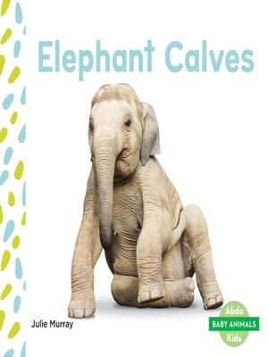 cover image of Elephant Calves